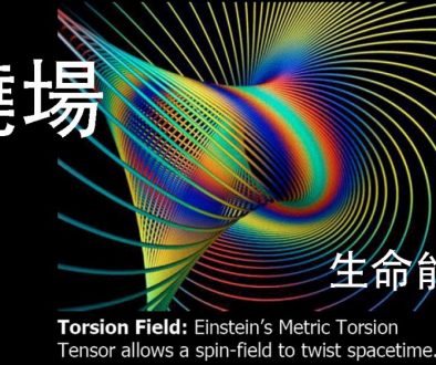 撓場 Torsion field